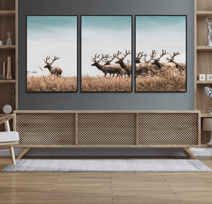 81594705-MGV-FC-60X30-3P_Black-Elk Herd Wall Art Canvas Print, Framed Wildlife Photography Art Picture Print, Rustic Nature Print Perfect Rustic Wildlife Decor