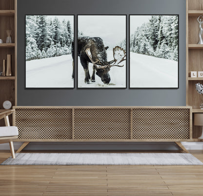 13316292-MGV-FC-60X30-3P_Black-Moose in Snow Wall Art Canvas Print, Framed Winter Wildlife Art Picture Print, Snowy Forest Scene Perfect Rustic Lodge Decor