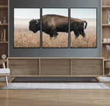 69909079-MGV-FC-60X30-3P_Black-Bison Wall Art – Majestic Buffalo Canvas Print in Prairie Grasslands, Rustic Western Animal Painting, Farmhouse Ranch Decor for