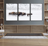 61161423-MGV-FC-60X30-3P_Black-Running Bison Herd Wall Art – Winter Buffalo Canvas Print, Wildlife Photography Decor for Rustic Living Room, Farmhouse, Lodge,