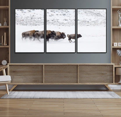 61161423-MGV-FC-60X30-3P_Black-Running Bison Herd Wall Art – Winter Buffalo Canvas Print, Wildlife Photography Decor for Rustic Living Room, Farmhouse, Lodge,