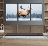 85177251-MGV-FC-60X30-3P_Black-Elk Wall Art – Majestic Wildlife Canvas Print of Bull Elk Snowy Forest, Rustic Nature Decor for Living Room, Cabin, or Office