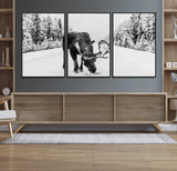 38956835-MGV-CV-36X24-Moose Winter Snowy Forest Canvas Wall Art – Wildlife Nature, Antlers in Frozen Landscape, Quiet Path, Cold Season Outdoors Print