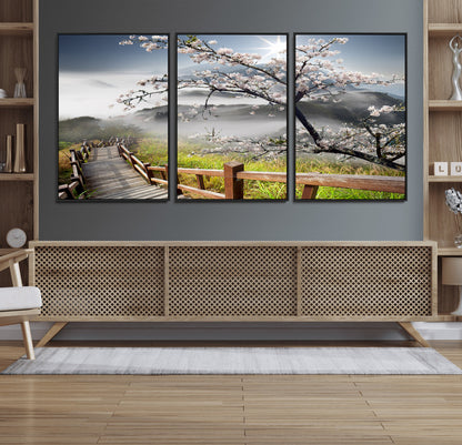 34632598CRY-MGV-CV-36X24-Sakura Cherry Blossom Pathway Canvas Wall Art – Tranquil Walk Through Blossoming Nature – Ready to Hang