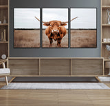 16316734-MGV-FC-60X30-3P_Black-Texas Longhorn Wall Art – Rustic Bull Portrait Canvas Print, Western Farmhouse Animal Photography Decor for Living Room, Office,