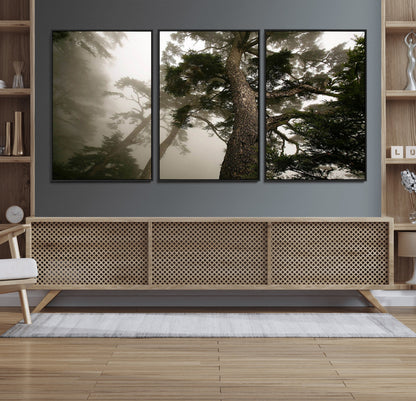 87969493-MGV-CV-36X24-Forest Wall Art – Misty Tall Trees Canvas Print, Dramatic Woodland Photography Decor for Bedroom, Living Room, Office, Cabin,