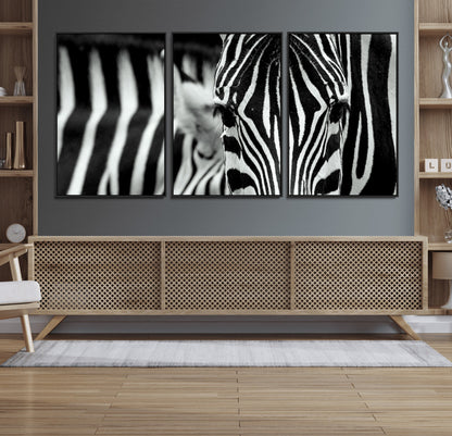 43631-MGV-FC-60X30-3P_Black-Zebra Wall Art – Black & White Safari Wildlife Canvas Print, Modern Animal Photography Decor for Living Room, Office, or Bedroom
