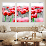 44554-MGV-FC-60X30-3P_White-Vibrant red tulips stand out beautifully against a black-and-white background, making a striking decor piece perfect for any home