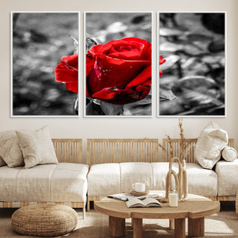 84671-MGV-FC-60X30-3P_White-Red Rose Wall Art – Vibrant Single Bloom Canvas Print with Black and White Background, Elegant Floral Decor for Living Room,
