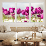 30632-MGV-FC-60X30-3P_White-Purple Tulip Field Wall Art – Beautiful Spring Flowers Canvas Print with Soft Focus and Bright Sky, Ideal Floral Decor for Home or
