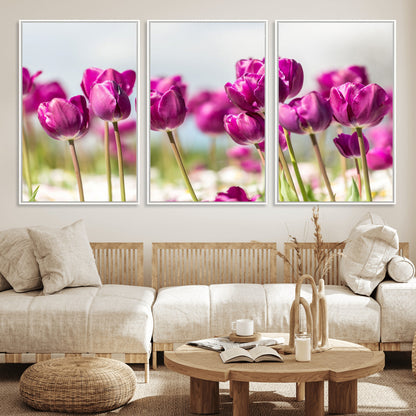 30632-MGV-FC-60X30-3P_White-Purple Tulip Field Wall Art – Beautiful Spring Flowers Canvas Print with Soft Focus and Bright Sky, Ideal Floral Decor for Home or