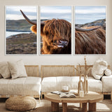 71222-MGV-CV-36X24-A playful Highland cow with shaggy fur sticks out its tongue, set against a rugged landscape — perfect for quirky home or office