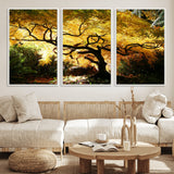 19067-MGV-FC-60X30-3P_White-Golden Canopy Wall Art – Panoramic Autumn Tree Canvas Print, Warm Seasonal Decor for Living Room, Office or Garden Space