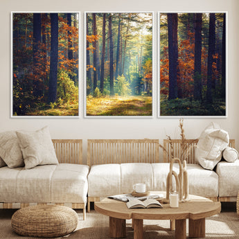 86249-MGV-CV-36X24-Sunlit Autumn Forest Path Wall Art – Peaceful Nature Scene with Fall Foliage, Calming Woods Decor for Home or Office