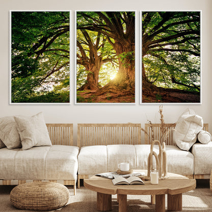 52150-MGV-CV-36X24-Majestic Tree Wall Art – Large Nature Canvas Print with Sunlight Through Branches, Rustic Forest Decor for Living Room, Bedroom or