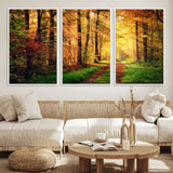 73494-MGV-CV-36X24-Golden Autumn Forest Path Wall Art – Sunlit Woodland Canvas Print, Fall Nature Landscape Home Decoration