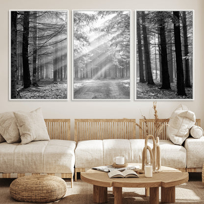 39665-MGV-CV-36X24-Black and White Forest Path Wall Art – Sunlight Rays in Trees Canvas Print, Nature Landscape Decor for Living Room