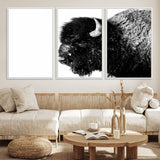 68780-MGV-CV-36X24-Bison Close-Up Wall Art – Black and White Buffalo Canvas Print, Rustic Wildlife Photography Decor for Living Room, Office, or