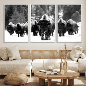 62434-MGV-CV-36X24-Bison Herd Wall Art – Majestic Black and White Buffalo Canvas Print, Wildlife Nature Photography Decor for Living Room, Office or