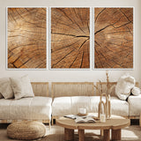61710-MGV-CV-36X24-Tree Rings Wall Art – Rustic Wood Grain Canvas Print of Tree Trunk Cross Section, Nature Inspired Decor for Cabin, Office, Living