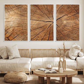 61710-MGV-CV-36X24-Tree Rings Wall Art – Rustic Wood Grain Canvas Print of Tree Trunk Cross Section, Nature Inspired Decor for Cabin, Office, Living