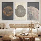 80725-MGV-FC-60X30-3P_White-Wood Tree Rings Wall Art Canvas Print, Framed Tree Rings Art Picture Print, Abstract Tree Rings Perfect Modern Boho Decor Artwork