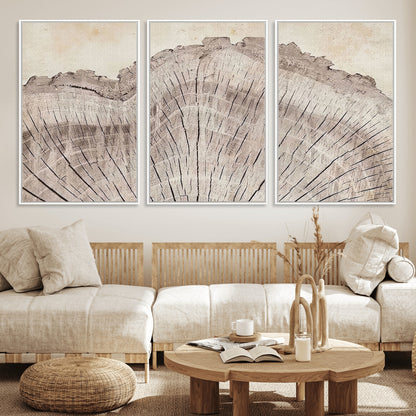 67528-MGV-FC-60X30-3P_White-Wood Ring Wall Art Canvas Print, Framed Tree Ring Art Picture Print, Rustic Tree Ring Perfect Neutral Boho Decor Artwork