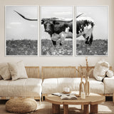 94709-MGV-FC-60X30-3P_White-Texas Longhorn Wall Art – Black and White Bull Photography Canvas Print, Western Farmhouse Wall Decor for Living Room, Office or