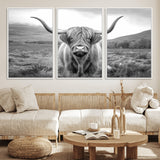 52903-MGV-CV-36X24-Highland Cow Wall Art – Black and White Canvas Print Rustic Cattle Portrait, Farmhouse Country Decor for Living Room, Office,