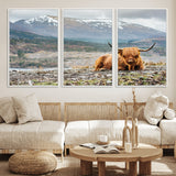 80252-MGV-CV-36X24-Scottish Cow Wall Art Canvas Print, Framed Highland Cow Art Picture Print, Highland Cattle Perfect Rustic Farmhouse Decor Artwork