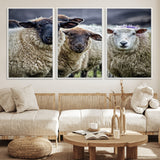 18418-MGV-CV-36X24-Sheep Wall Art Canvas Print, Framed Farmhouse Sheep Art Picture Print, Sheep Herd Perfect Rustic Farmhouse Decor Artwork