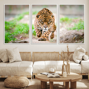 75066-MGV-FC-60X30-3P_White-Leopard Wall Art Canvas Print, Framed Wild Animal Art Picture Print, Blue Eye Leopard Perfect Wild Minimal Decor Artwork