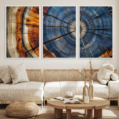 10583-MGV-FC-60X30-3P_White-Tree Ring Wall Art – Abstract Wood Grain Canvas Print with Blue and Brown Tones, Nature Inspired Rustic Artwork for Living Room,