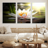 60352-MGV-CV-36X24-White Water Lily Wall Art – Lotus Flower Canvas Print with Sunlight Reflection, Peaceful Botanical Artwork for Living Room,