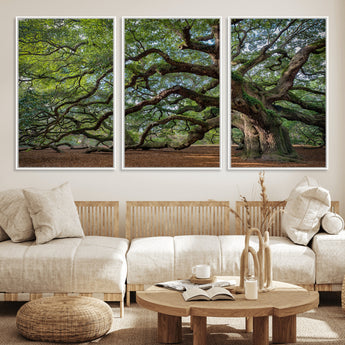 MGV-FC-60X30-3P - Historic Tree Wall Art Canvas Print, Framed Mossy Tree Art Picture Print, Twisted Branches Perfect Nature Southern Decor Artwork