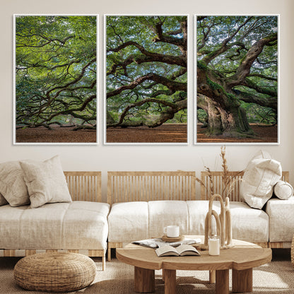 MGV-FC-60X30-3P - Historic Tree Wall Art Canvas Print, Framed Mossy Tree Art Picture Print, Twisted Branches Perfect Nature Southern Decor Artwork