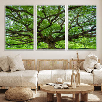 49375306-MGV-FC-60X30-3P_White-Ancient Tree Wall Art Canvas Print, Framed Sprawling Branches Art Picture Print, Gnarling Tree Perfect Earthy Natural Decor