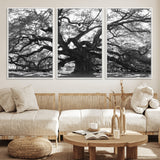 81655611-MGV-CV-36X24-Ancient Oak Wall Art Canvas Print, Framed Twisted Branches Art Picture Print, Gnarled Tree Perfect Moody Nature Decor Artwork