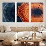 57732250-MGV-CV-36X24-Tree Ring Abstract Wall Art – Blue Orange Wood Grain Canvas Print, Modern Rustic Nature Artwork for Living Room, Office,