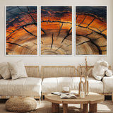 65909987-MGV-FC-60X30-3P_White-Rustic Tree Ring Wall Art – Nature Inspired Wooden Texture Canvas Print, Modern Abstract Artwork for Living Room, Bedroom, Office