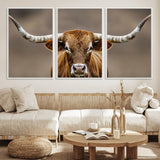 12179171-MGV-FC-60X30-3P_White-Texas Longhorn Wall Art Canvas Print, Framed Brown Bull Art Picture Print, Lone Cattle Perfect Rustic Western Decor Artwork