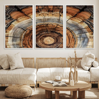 15184146-MGV-CV-36X24-Tree Rings Wall Art Canvas Print, Framed Wood Texture Art Picture Print, Rustic Pattern Perfect Rustic Organic Decor Artwork