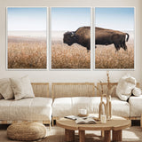 99620201-MGV-CV-36X24-Wild Bison Wall Art Canvas Print, Framed Bison in Prairie Art Picture Print, Rustic Western Perfect Rustic Western Decor Artwork