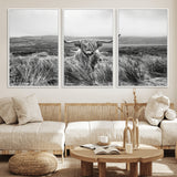 24051061-MGV-FC-60X30-3P_White-Monochrome Highland Cow Wall Art Canvas Print, Framed Scottish Bull Art Picture Print, Lone Cattle Perfect Rustic Farmhouse Decor