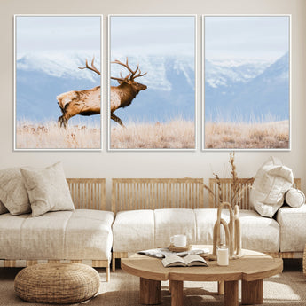 96024025-MGV-FC-60X30-3P_White-Elk Photography Wall Art Canvas Print, Framed Mountain Wildlife Art Picture Print, Rustic Lodge Decor Perfect Rustic Lodge Decor