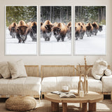 22695857-MGV-FC-60X30-3P_White-Bison Herd Scene Wall Art Canvas Print, Framed Western Wildlife Art Picture Print, Rustic Animal Art Perfect Rustic Lodge Decor