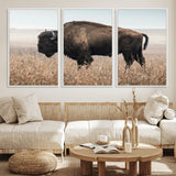34451925-MGV-CV-36X24-Rustic Bison Decor Wall Art Canvas Print, Framed Buffalo Home Accent Art Picture Print, Prairie Wildlife Scene Perfect Western