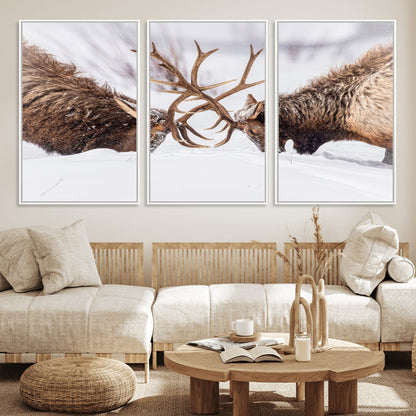 36507609-MGV-CV-36X24-Elk Clash Scene Wall Art Canvas Print, Framed Wildlife Strength Decor Art Picture Print, Snowy Forest Elk Perfect Rustic Lodge