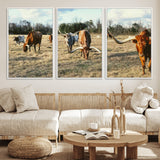 39144651-MGV-FC-60X30-3P_White-Texas Longhorns Wall Art Canvas Print, Framed Rustic Farm Scene Art Picture Print, Western Cattle Perfect Rustic Farmhouse Decor