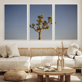 54552043-MGV-FC-60X30-3P_White-Joshua Tree Art Wall Art Canvas Print, Framed Desert Landscape Art Picture Print, Southwestern Nature Perfect Southwestern Boho